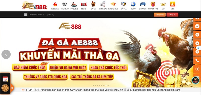 Đá Gà Ae88 - Điểm Đến Giải Trí Với Cơ Hội “Đổi Đời” Nhanh Chóng