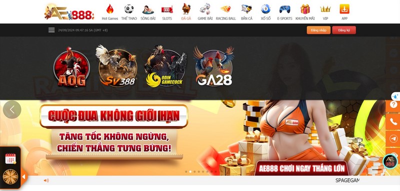 Đá Gà Ae88 - Điểm Đến Giải Trí Với Cơ Hội “Đổi Đời” Nhanh Chóng